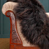 Natural Chocolate Economy Sheepskin Rug