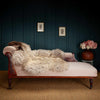 Eco Tanned Extra Large Sheepskins Cafe Au Lait