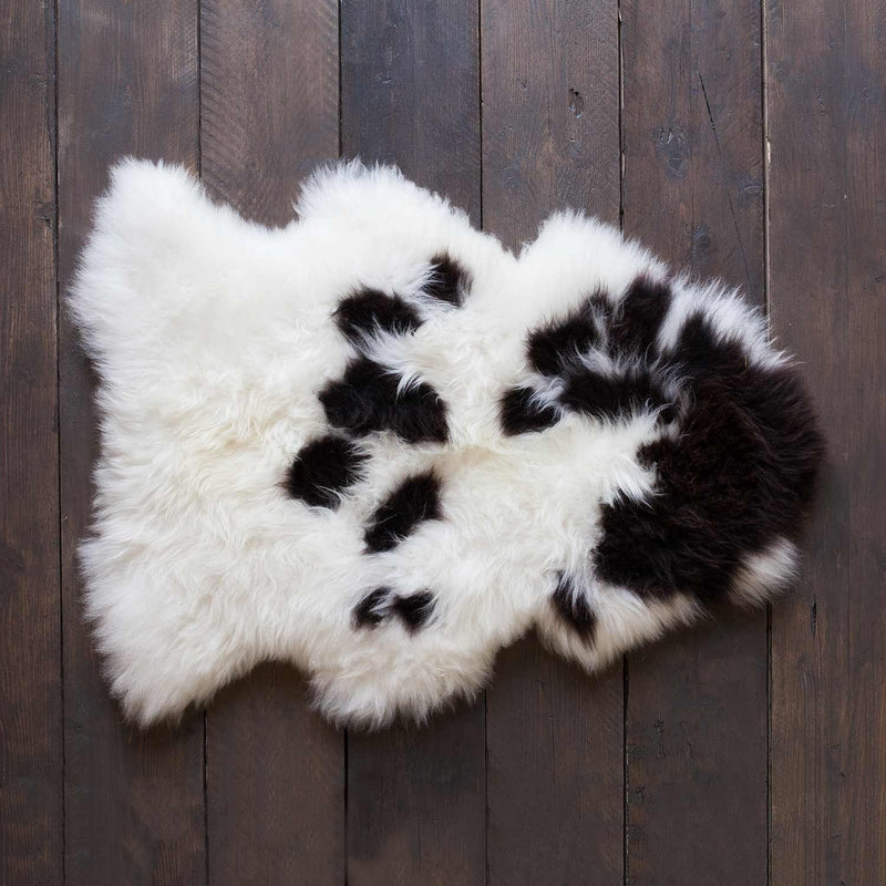 Large size real British rare breed Jacob sheepskin classic brown & cream markings each one unique soft longwool fleece