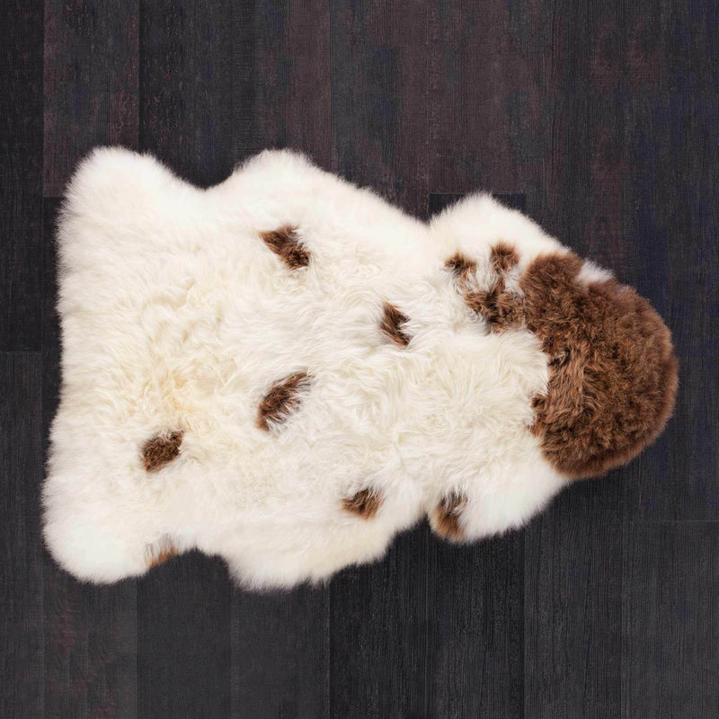 Large size real British rare breed Jacob sheepskin classic brown & cream markings each one unique soft longwool fleece