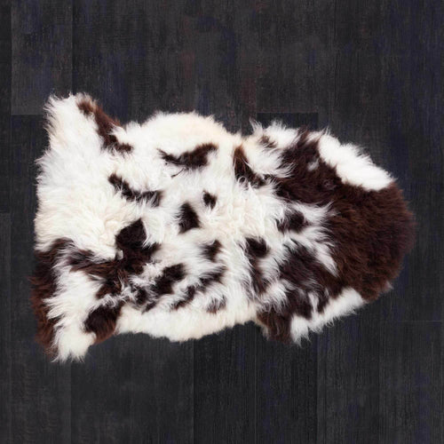  British rare breed Jacob sheepskin classic brown & cream markings each one unique soft longwool fleece By The Wool Company