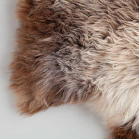  Undyed rare breed British sheepskins, thick, soft luxurious fleece, cream, browns, and black, each is unique longwool fleece