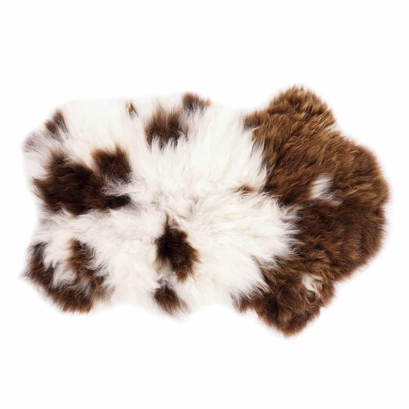  XL British rare breed Jacob sheepskin classic brown & cream markings each one unique soft longwool fleece By The Wool Company