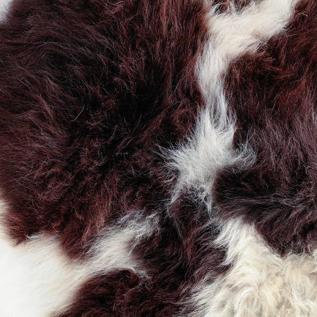  Extra-large size real British rare breed Jacob sheepskin classic brown & cream markings each one unique soft longwool fleece