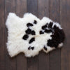  Extra-large size real British rare breed Jacob sheepskin classic brown & cream markings each one unique soft longwool fleece